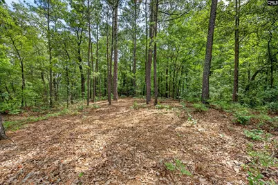 213 Lakeview Road, Eastover, SC 29044 - Photo 31