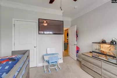 613 Scarlet Baby Drive, Blythewood, SC 29016 - Photo 21