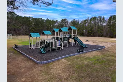 206 Coopers Hawk Circle, Irmo, SC 29063 - Photo 33