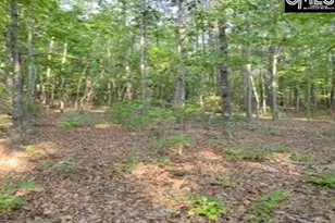 Lake Dogwood Circle, Columbia, SC 29044 - Photo 1