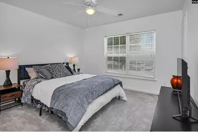 279 Richmond Farm Circle, Lexington, SC 29072 - Photo 11