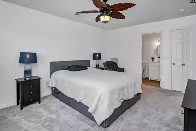 279 Richmond Farm Circle, Lexington, SC 29072 - Photo 9