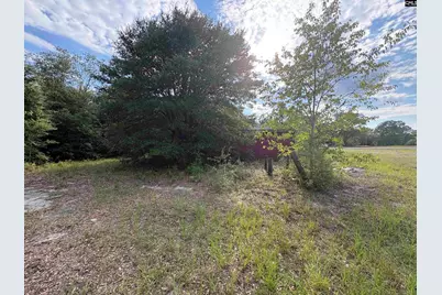 545 Flinns Road, Hartsville, SC 29550 - Photo 13