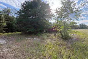 545 Flinns Rd, Hartsville, SC 29550 - Photo 13