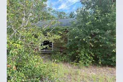 545 Flinns Road, Hartsville, SC 29550 - Photo 5