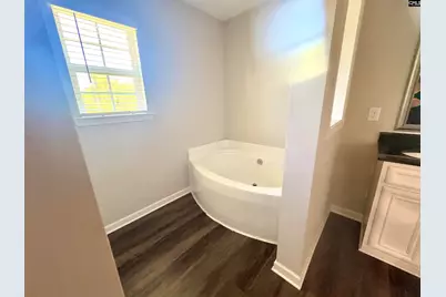 309 Oristo Ridge Way, West Columbia, SC 29170 - Photo 17