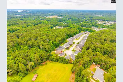 54 Revelstone Way Way, Chapin, SC 29036 - Photo 39