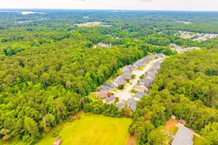54 Revelstone Way, Chapin, SC 29036 - Photo 39