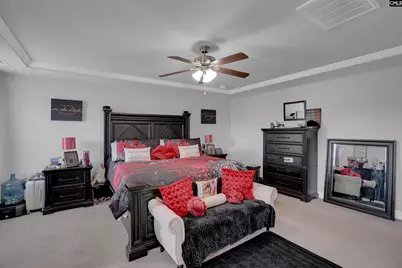 119 Tawney Forest Road, Blythewood, SC 29016 - Photo 29