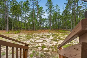 217 Mt Zion Rd, Camden, SC 29020 - Photo 33