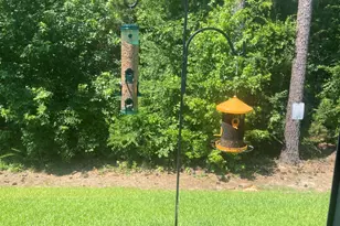 296 Wahoo Cir, Irmo, SC 29063 - Photo 7