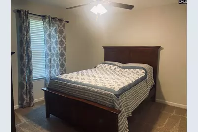 296 Wahoo Circle, Irmo, SC 29063 - Photo 23