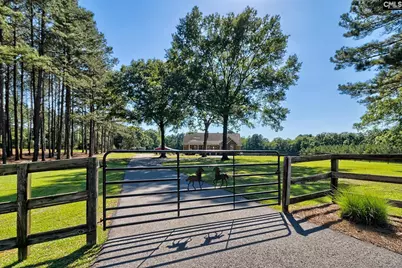 307 Old Bush River Road, Chapin, SC 29036 - Photo 1