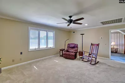 307 Old Bush River Road, Chapin, SC 29036 - Photo 33