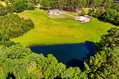 307 Old Bush River Road, Chapin, SC 29036 - Photo 43