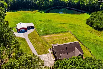 307 Old Bush River Road, Chapin, SC 29036 - Photo 45