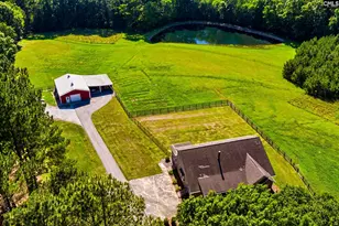 307 Old Bush River Rd, Chapin, SC 29036 - Photo 45
