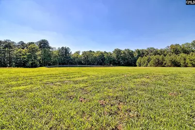 307 Old Bush River Road, Chapin, SC 29036 - Photo 51