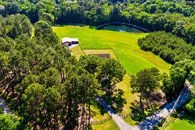 307 Old Bush River Road, Chapin, SC 29036 - Photo 41