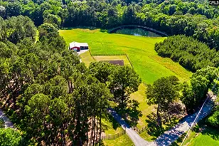 307 Old Bush River Rd, Chapin, SC 29036 - Photo 41