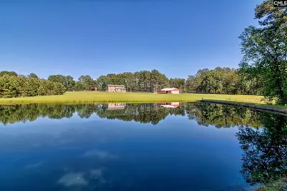 307 Old Bush River Road, Chapin, SC 29036 - Photo 49