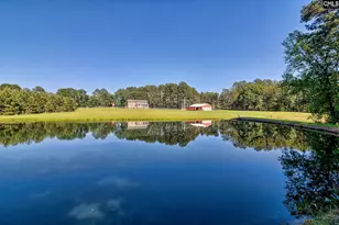 307 Old Bush River Rd, Chapin, SC 29036 - Photo 49