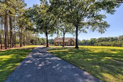 307 Old Bush River Road, Chapin, SC 29036 - Photo 39