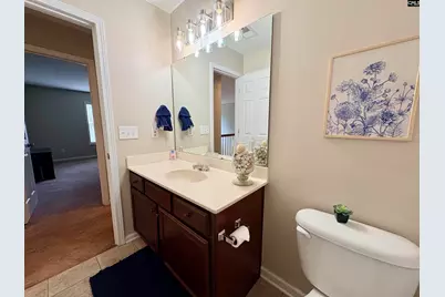 227 Letha Lane, Lexington, SC 29072 - Photo 43