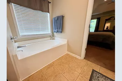 227 Letha Lane, Lexington, SC 29072 - Photo 35
