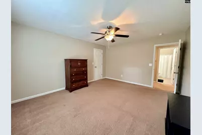 227 Letha Lane, Lexington, SC 29072 - Photo 45