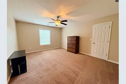 227 Letha Lane, Lexington, SC 29072 - Photo 45
