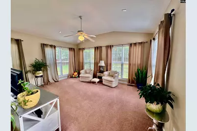 227 Letha Lane, Lexington, SC 29072 - Photo 27