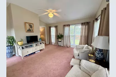 227 Letha Lane, Lexington, SC 29072 - Photo 27