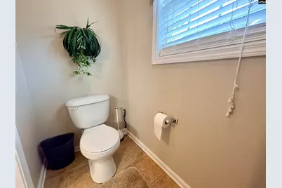 227 Letha Lane, Lexington, SC 29072 - Photo 33