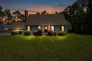 343 Pinewood Dr, Santee, SC 29142 - Photo 45