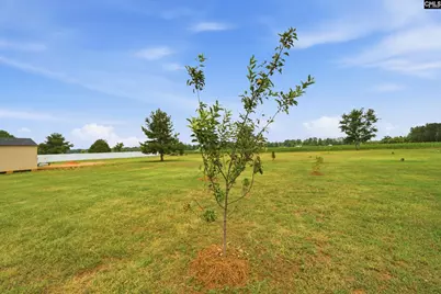 1110 Makayla Lane, Wedgefield, SC 29168 - Photo 25