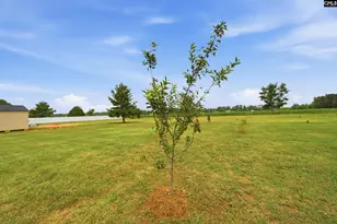 1110 Makayla Ln, Wedgefield, SC 29168 - Photo 25
