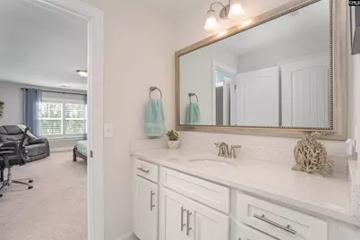 320 Brenthaven Drive, Chapin, SC 29036 - Photo 29