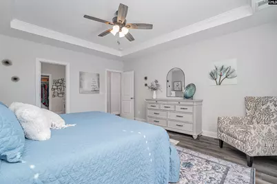 320 Brenthaven Drive, Chapin, SC 29036 - Photo 21