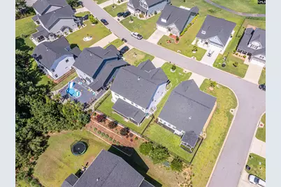 320 Brenthaven Drive, Chapin, SC 29036 - Photo 49