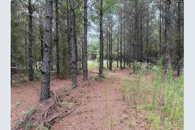 00 Seivern Road #7-A, Wagener, SC 29164 - Photo 3