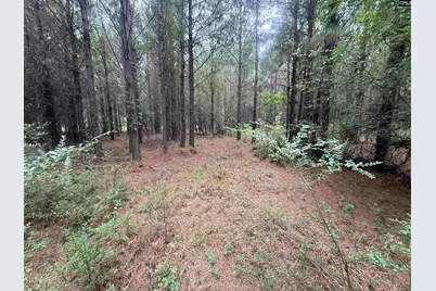 00 Seivern Road #7-A, Wagener, SC 29164 - Photo 5