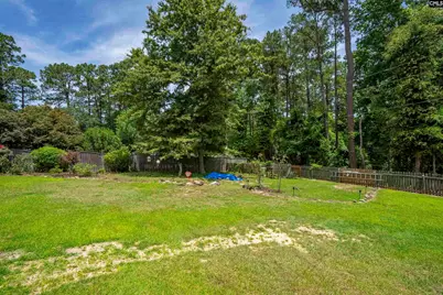 132 Platinum Drive, Lexington, SC 29072 - Photo 61