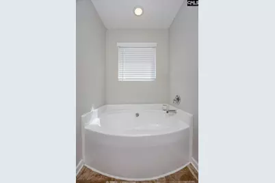 525 Red Taffy Way, Lexington, SC 29073 - Photo 33