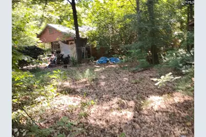 110 Love Lane, Orangeburg, SC 29115 - Photo 1