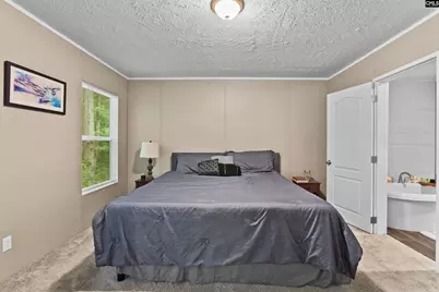 193 Mott Road, Cope, SC 29038 - Photo 13