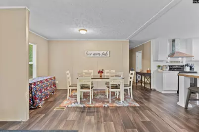 193 Mott Road, Cope, SC 29038 - Photo 7