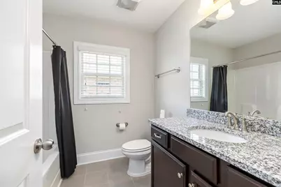 645 Needle Leaf Drive, Blythewood, SC 29016 - Photo 41
