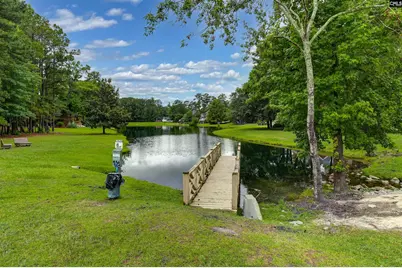9 Ashfield Lane, Blythewood, SC 29016 - Photo 65