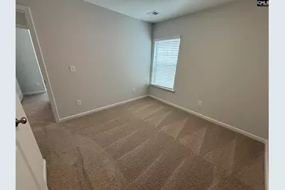 329 Pinaster Path, West Columbia, SC 29170 - Photo 19
